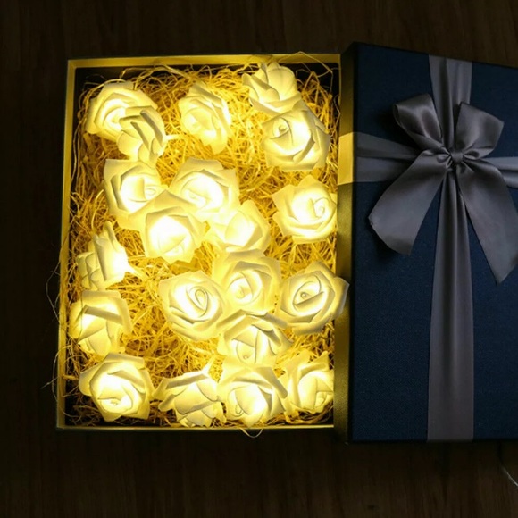 NEW! WHITE AESTHETIC PLASTIC ROSE STRING LIGHTS - Picture 4 of 7